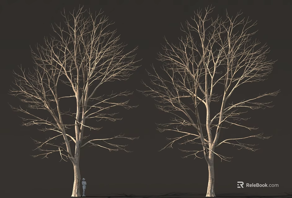 Tall Bare Trees Standing Against Dark Background With Small Figure 3d model 