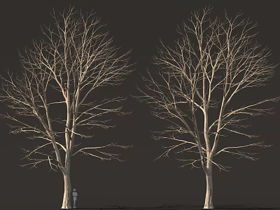 Tall Bare Trees Standing Against Dark Background With Small Figure 3d model