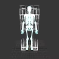 Detailed Human Skull Anatomical Structure In Full Body Skeleton Model
