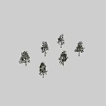Various Arbor Trees Shown from Different Angles Isolated on Black Background 3d model
