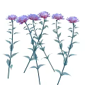 Beautiful Decorative Plants With Pink Buds Green Stems And Fresh Green Leaves