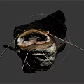 Close Up View Of Catfish With Open Mouth Long Whiskers And Slender Body Against Blue Background