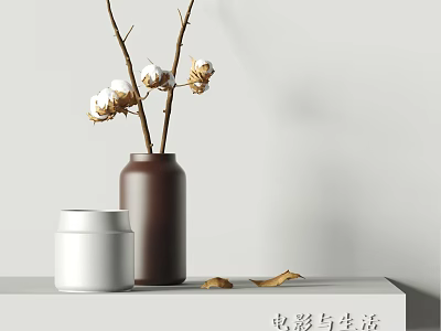 Two Vases With Cotton Flowers And Dried Leaves On Shelf 3d model