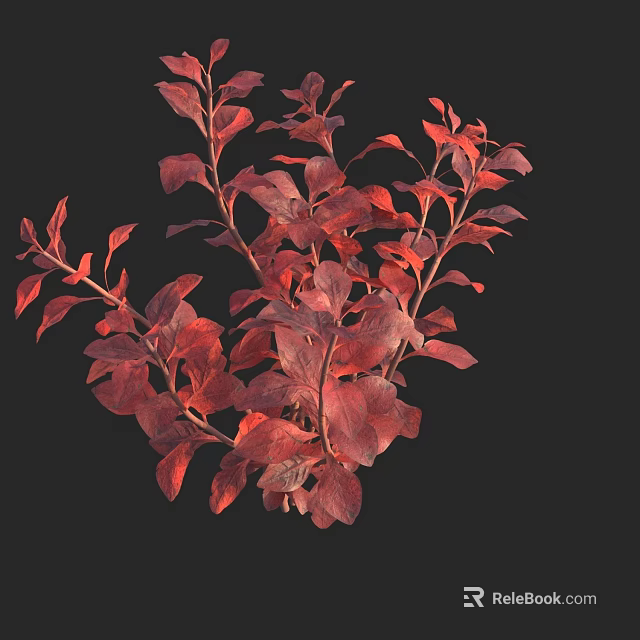Vibrant Red Leaf Aquatic Plants with Lush Foliage in Freshwater Habitat 3d model 