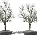 Modern Tree Pond Dead Tree Dry Branch Tree Landscape Tree 3d model