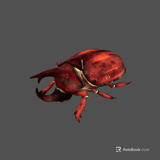 Red Stag Beetle With Large Pincers And Oval Body On Gray Background 3d model 