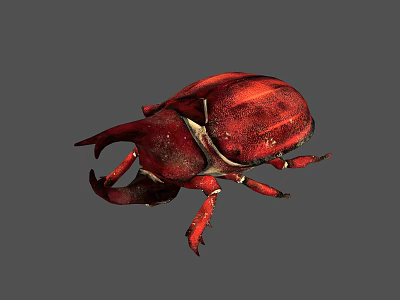 Red Stag Beetle With Large Pincers And Oval Body On Gray Background 3d model