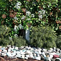 Vertical Garden with Lush Green Plants Purple White Flowers and Decorative Pebble Border