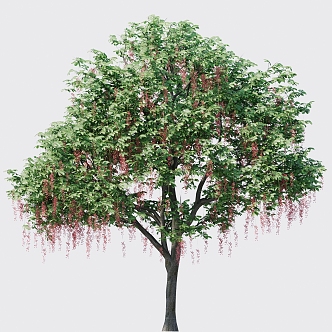 Safflower Yurui Tree Summer Tree Flowering Tree Big Tree Street Tree Green Tree Big Tree Point View Tree 3d model