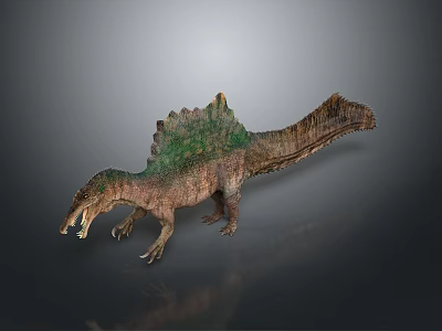Realistic Sail Backed Spinosaurus Dinosaur Model With Green Brown Skin And Open Mouth 3d model