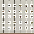 Background Wall Decorative Arrangement of Pressed Plant Specimens on White Cards