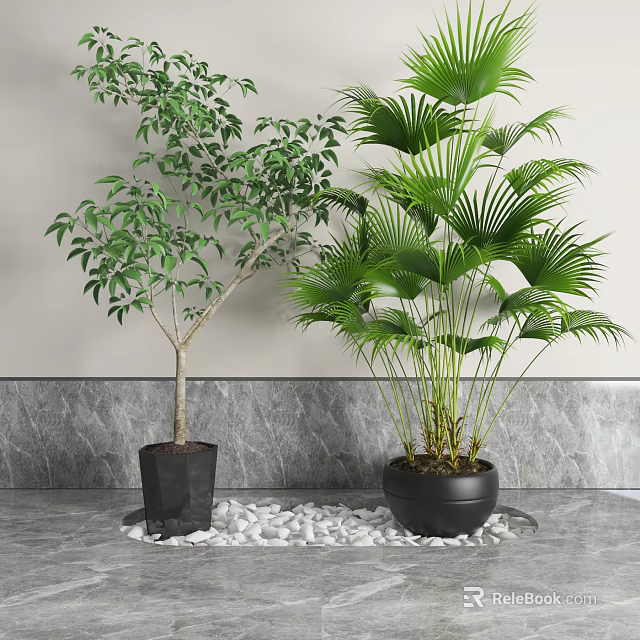 Bonsai Potted Plants Green Leafy Tree Palm Plant In Black Pots On White Pebbles Tray 3d model 