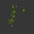 Multiple Hanging Green Plants In Various Potted Containers With Leafy Vines