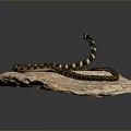 snake cobra venomous snake python reptile cold-blooded animal reptile 3d model