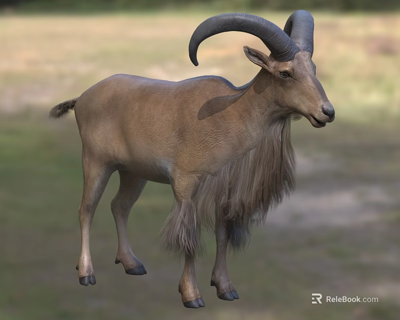Brown Fur Goat With Large Curved Horns Standing On Green Grassland 3d model 