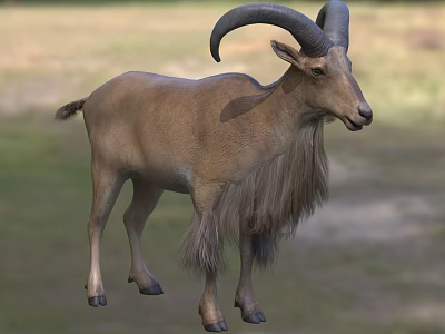 Brown Fur Goat With Large Curved Horns Standing On Green Grassland 3d model