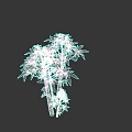 Lush Green Bamboo Plant With Multiple Branches And Slender Leaves Growing In Dark Background