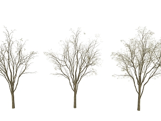 Modern Tree House Landscape Tree 3d model