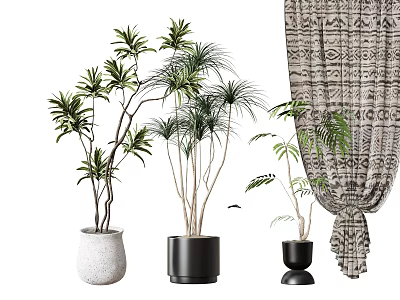 Indoor Green Plants In Various Pot Designs With Patterned Curtain Background 3d model