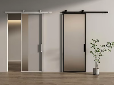 Modern Sliding Barn Door With White Black Frame Glass Panel And Indoor Plant 3d model