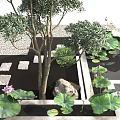 Landscaped Tree Pit with Decorative Stones Lotus Leaves Small Koi Pond Grass and Stone Paths