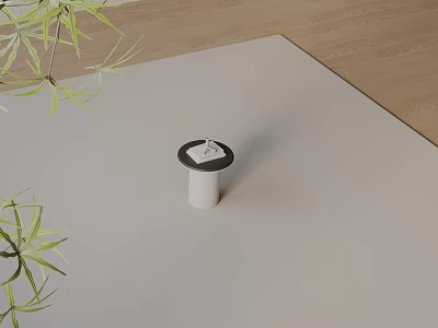 Modern Minimalist Side Table White Base Black Top Placed On Light Rug Near Green Plants 3d model