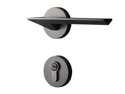 Modern Black Metal Door Handle With Sleek Design And Round Lock Plate 3d model