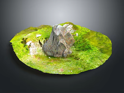 Wood Stone Natural Decor With Circular Green Moss Covered Surface 3d model