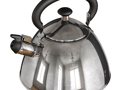 Quick kettle. 3d model