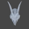 White Horned Animal Skull Display On Dark Background With Detailed Features