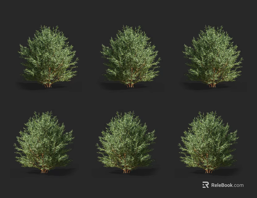 Six Green Shrubs with Lush Evergreen Foliage Set Against Black Background 3d model 