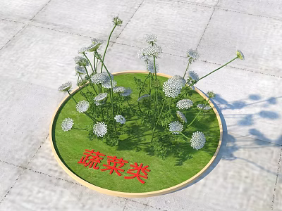 Green Round Vegetable Plot with White Flowering Plants and Sign 3d model