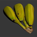 Ripe Fresh Yellow Bananas Bunch With Green Stems On Dark Background
