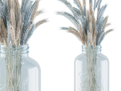 Minimalist Decorative Ornament Set With Clear Glass Bottles And Dried Pampas Grass 3d model