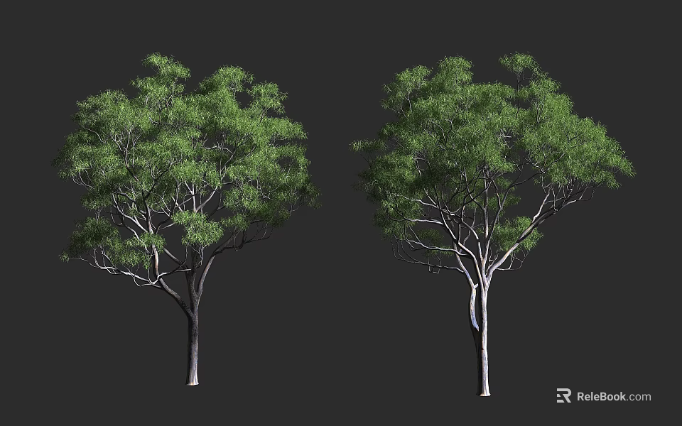 Two Green Leafy Arbor Trees With Straight Trunks Against Black Background 3d model 