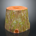 Natural Tree Stump with Cross Section Growth Rings and Green Moss on Dark Background