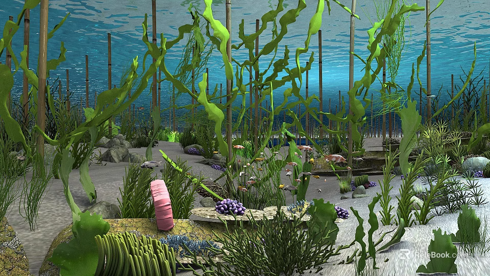 Underwater Natural Landscape With Green Seaweed Marine Life Colorful Coral Sandy Bottom And Rocks 3d model 