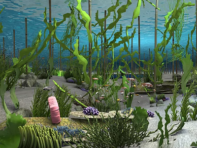 Underwater Natural Landscape With Green Seaweed Marine Life Colorful Coral Sandy Bottom And Rocks 3d model