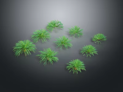 Small Fresh Green Leafy Plants Arranged in Clusters on Black Background 3d model
