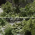 Lush Green Plants And Various Flowers In Natural Garden With Stone Wall Background