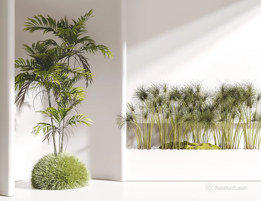 Green Indoor Decorative Plants With Tall Palm Bushy Grass And Round Green Bushes 3d model 