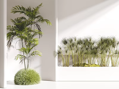 Green Indoor Decorative Plants With Tall Palm Bushy Grass And Round Green Bushes 3d model