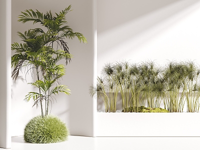 modern plants 3d model