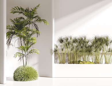 modern plants 3d model