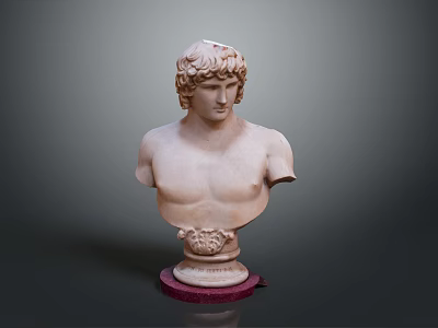 Medical Teaching Human Torso Model With Curly Hair And Red Base 3d model