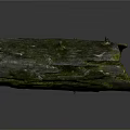 Natural Weathered Wooden Log with Green Moss Covered Surface and Natural Holes