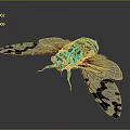 Colorful Cicada Featuring Vibrant Blue Green Red Colors and Transparent Wings with Black Patterns