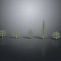 Five Different Shaped Plants on Black Smooth Surface with 3D Model Appearance and Varied Heights
