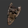 Detailed Dinosaur Skull Organ Anatomy With Sharp Teeth And Hair Traces