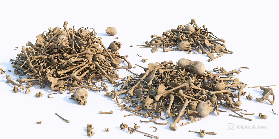 Pile of Human Skeletal Remains Including Limb Bones and Skulls 3d model 